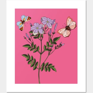 Botanical illustration a plant and a butterfly Posters and Art